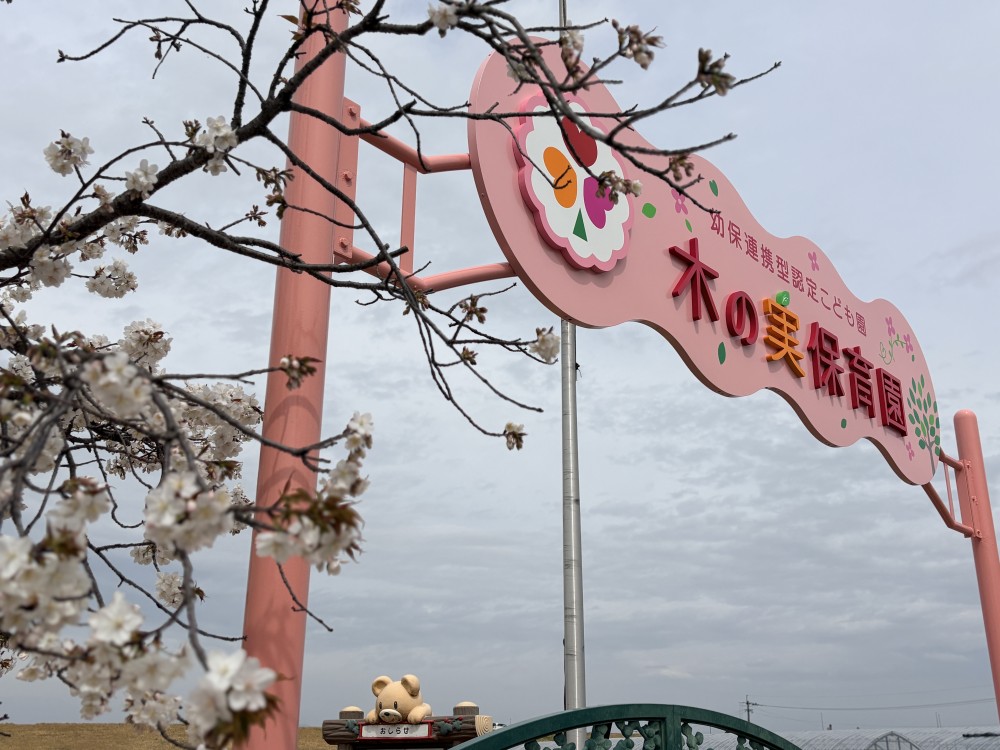幼保連携型こども園 木の実保育園様/ステンレスサイン、壁面・柱塗装