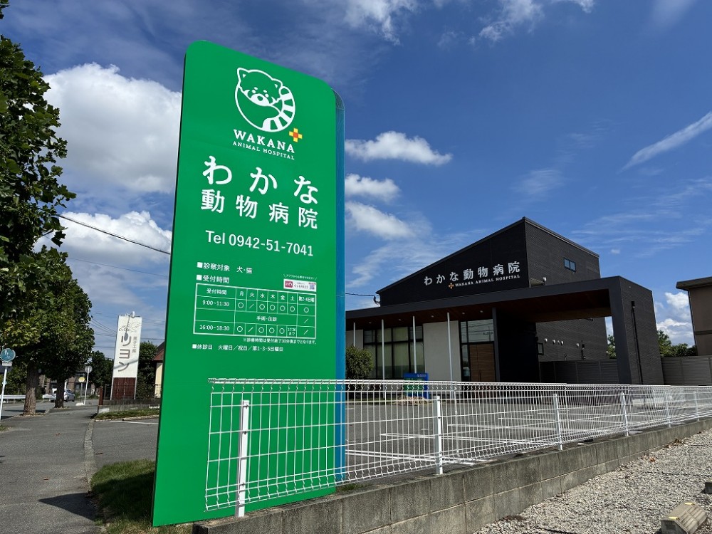 わかな動物病院様 サインリメイク
